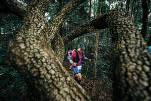 BIB: 
                            <button type="button" onclick="openModal(25394159)" class="btn btn-primary btn-sm float-right btn-popup" data-toggle="modal" data-target=".modal-high-quality">
                        <i class="fas fa-shopping-cart"></i> Add to Cart
                    </button>
                                            <button type="button" onclick="isThisMe(25394159, true)" class="btn btn-success btn-sm float-right btn-popup btn-isme hidden" data-toggle="tooltip" data-placement="bottom" title="นี่คือรูปของคุณใช่ไหม คลิกที่นี่เพื่อเอาเข้าอัลบั้ม">
                        <i class="fas fa-plus"></i> Add to album
                    </button>
                    <button type="button" onclick="isThisMe(25394159, false)" class="btn btn-warning btn-sm float-right btn-popup btn-isnotme hidden">
                        <i class="fas fa-ban"></i> Remove from album
                    </button>